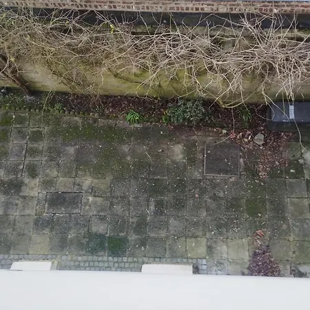 Quarto em Acomodações Particulares Agreable Petite A Cote Du Walibi Avec Grand Jardin Arbore